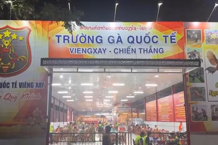 Triệt phá đường dây đánh bạc xuyên quốc gia 1.200 tỷ tại Viêng Xay