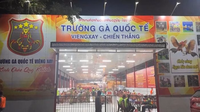 Lực lượng chức năng bóc gỡ đường dây đánh bạc xuyên quốc gia với số tiền giao dịch khổng lồ. Ảnh: Bộ Công an.